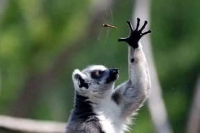 Фридман: «Американцами Лукашенко воспринимается как потенциально полезный и при этом безвредный»